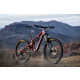 Low-Slung Mountain Bicycles Image 1