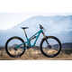 Low-Slung Mountain Bicycles Image 4