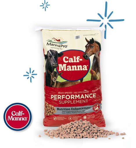 Barnyard Animal Performance Supplements