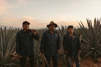 Sustainable Mezcal Brands Image 3
