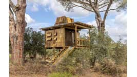 Summertime Getaway Treehouses