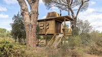 Summertime Getaway Treehouses Image 2