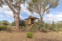Summertime Getaway Treehouses Image 4