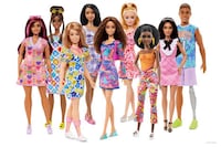 Inclusive Barbie Dolls Image 2