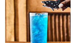 Ocean-Themed Restaurant Menus