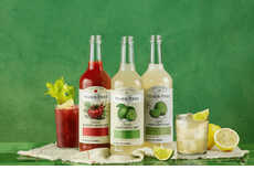 Elevated Margarita Mixers