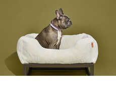 Stylish Modular Pet Beds