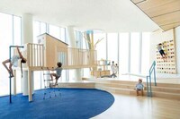 Nature-Inspired Indoor Playgrounds Image 2