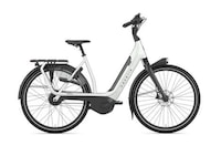 Dutch E-Bike Collections
