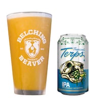Terpene-Infused IPAs Image 1