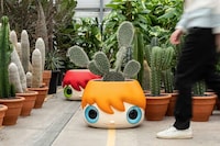 Big-Headed Sculpture Pots Image 1