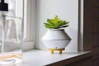 Planter-Like Air Fresheners Image 2