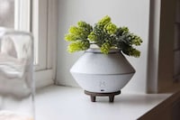 Planter-Like Air Fresheners Image 3