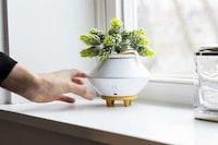 Planter-Like Air Fresheners Image 4