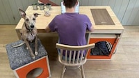Dog-Friendly Desk Designs Image 2