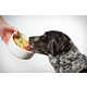 Nutrient-Dense Dog Food Services Image 1