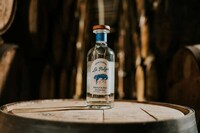 Additive-Free Agave Tequilas