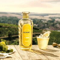 Actress-Backed Chablis Gins Image 4