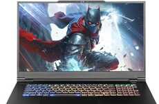 Immersive Full-Sized Gamer Laptops