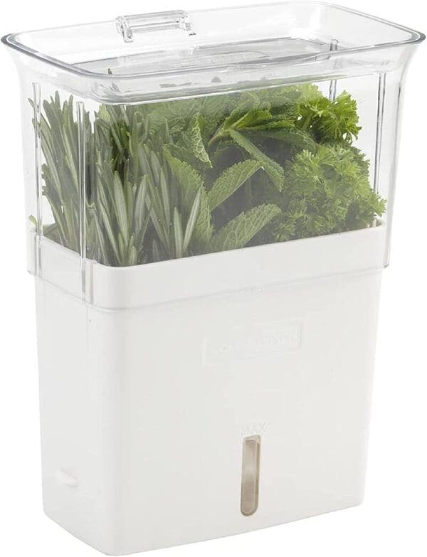 Water-Filled Herb Containers