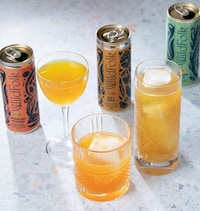 Botanically Brewed Canned Cocktails Image 3