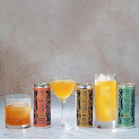 Botanically Brewed Canned Cocktails Image 4