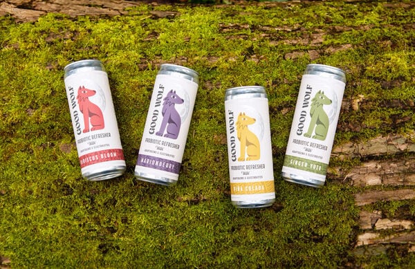 Adaptogenic Probiotic Tonics
