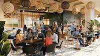 Flavorful Toronto Restaurants Image 1