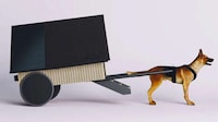 Off-Grid Dog House Designs Image 4
