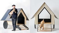 Off-Grid Dog House Designs Image 5