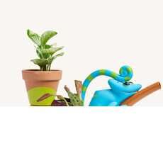 Kid-Friendly Houseplant Subscriptions