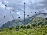 Movie-Themed South American Vacations Image 2