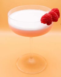 Shaken Single-Serve Cocktails Image 1