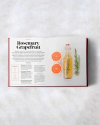 Illustrated Kombucha Guides Image 2