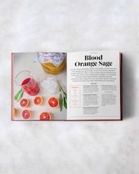 Illustrated Kombucha Guides Image 4