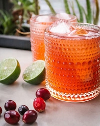 Illustrated Kombucha Guides Image 5