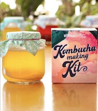 Illustrated Kombucha Guides Image 8
