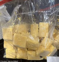 Frozen Pasta Cubes Image 2