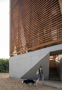 Timber Nature Reserve Towers Image 5