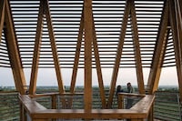 Timber Nature Reserve Towers Image 6
