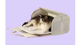 Airline-Safe Cat Carriers