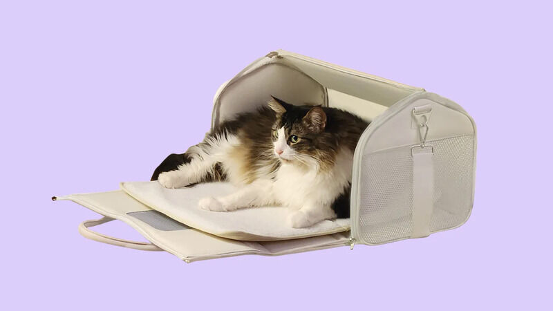 Cat carriers for outlet airplanes