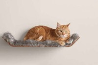 Elegant Cat Perches Image 1