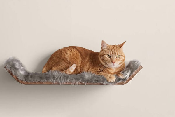Elegant Cat Perches
