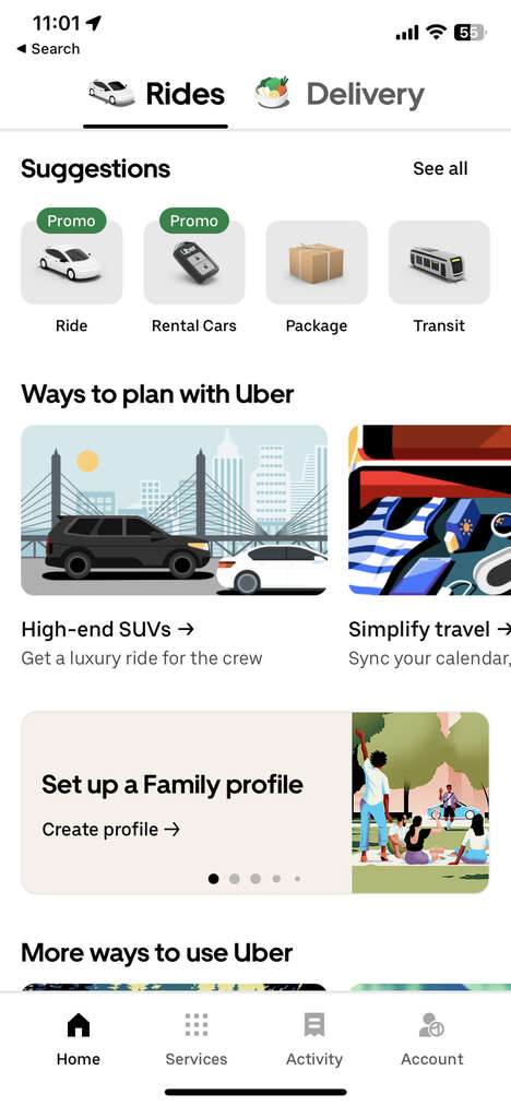 Car Rental Expanses