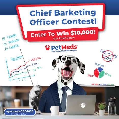 Chief Barketing Officer Contests