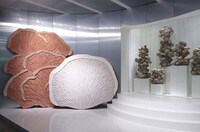 Mushroom-Inspired Luxe Rugs Image 1