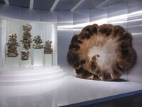 Mushroom-Inspired Luxe Rugs Image 2