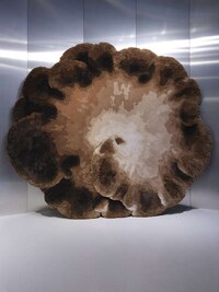 Mushroom-Inspired Luxe Rugs Image 3