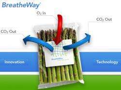 Oxygen Permeable Food Membranes